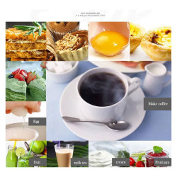 Espumador de leche eléctrico BALASHOV: Café y cacao perfectos